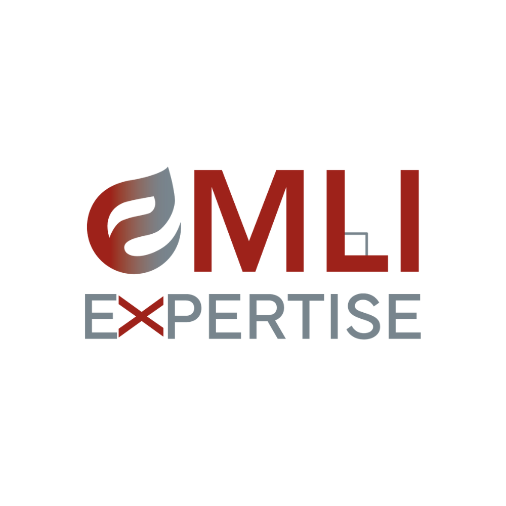 Logo-Emli